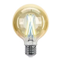 Лампа светодиодная Hiper IoT G80 Filament Vintage— фото №0